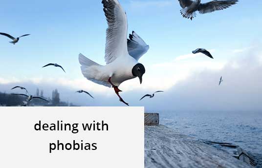 the yellow couch - dealing with phobias